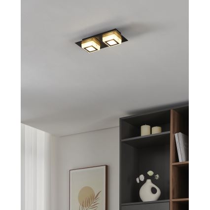 Eglo 99362 - LED-plafondlamp MASIANO 2xLED/3,3W/230V