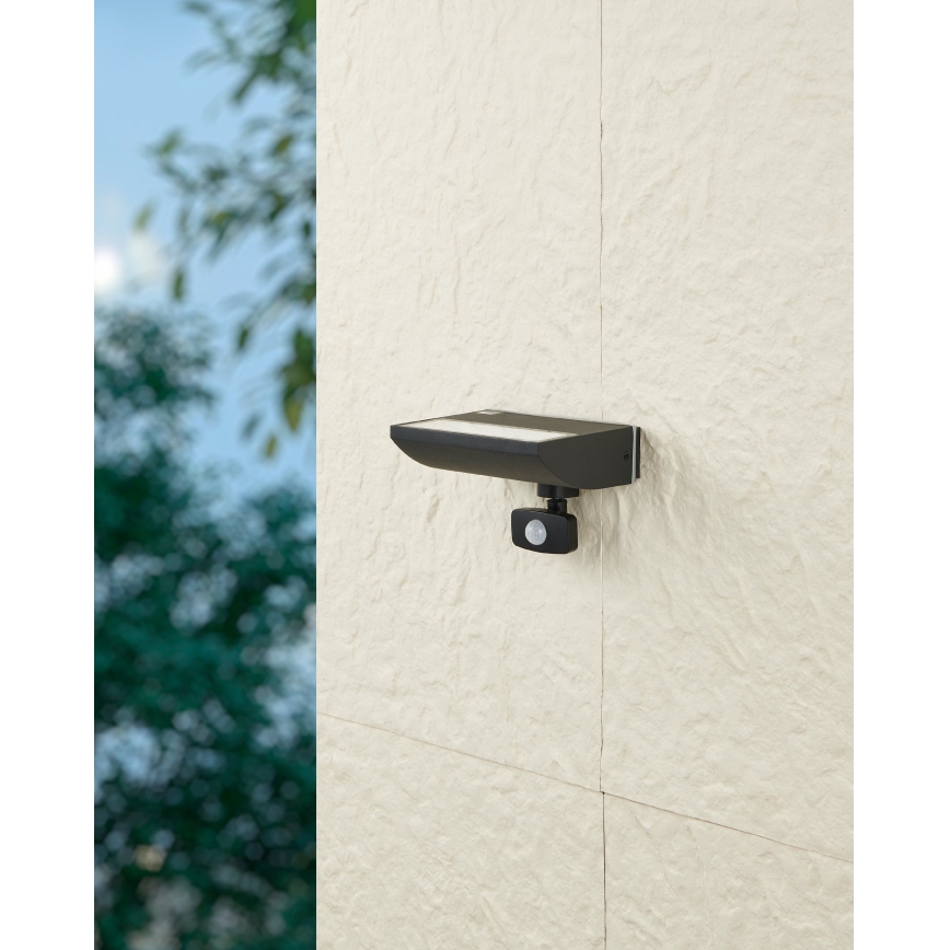 Eglo 99579 - LED buitenlamp met sensor SORRONARO LED/10,5W/230V IP44