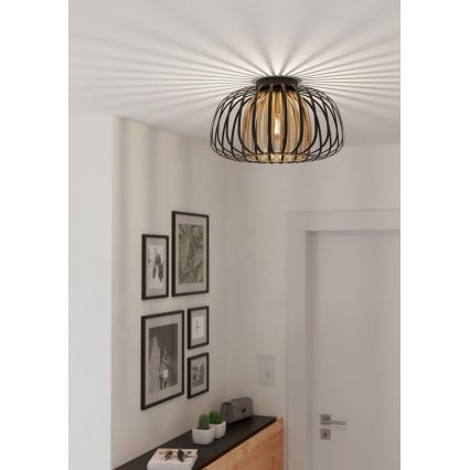 Eglo - Plafond Lamp 1xE27/40W/230V