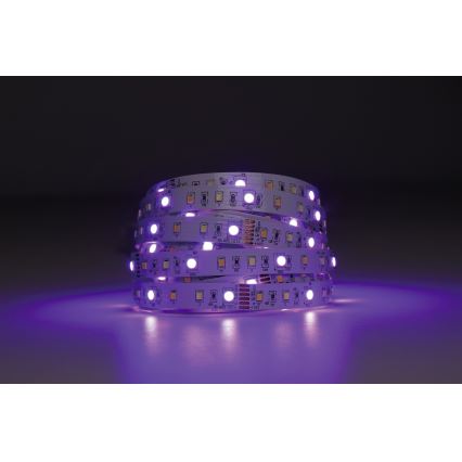 Eglo - LED RGBW dimbare strip 5m LED/11W/12/230V 2700-6500K ZigBee