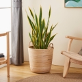 Eglo - Decoratieve mand 41x36 cm beige