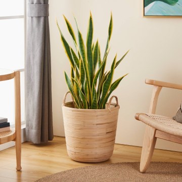 Eglo - Decoratieve mand 41x36 cm beige