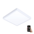 Eglo - Dimbare LED Badkamer Lamp LED/19,5W/230V 2700-6500K IP44 wit