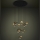 Eglo - Dimbare LED hanglamp aan een koord 10xLED/2,3W/230V 3000K diameter 58 cm