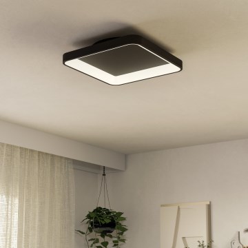 Eglo - Dimbare LED plafondlamp LED/12W/230V 2700-6500K zwart + afstandsbediening