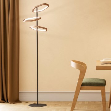 Eglo - Dimbare LED-vloerlamp LED/20W/230V 2200-6500K messing