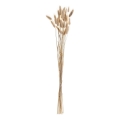Eglo - Gedroogde bloem 60 cm beige