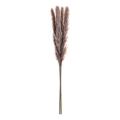 Eglo - Gedroogde bloem 60 cm paars