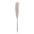 Eglo - Gedroogde bloem 70 cm wit