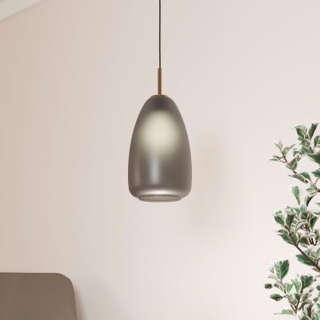 Eglo - Hanglamp aan een koord 1xE27/40W/230V