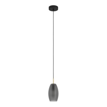 Eglo - Hanglamp aan kabel 1xE27/40W/230V