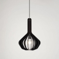 Eglo - Hanglamp aan kabel 1xE27/40W/230V pr. 38 cm zwart