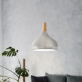 Eglo - Hanglamp aan kabel 1xE27/60W/230V Ø 28 cm zilver