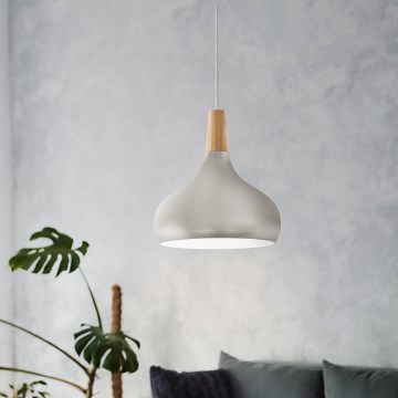 Eglo - Hanglamp aan kabel 1xE27/60W/230V Ø 28 cm zilver