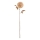 Eglo - Kunstbloem 73 cm beige