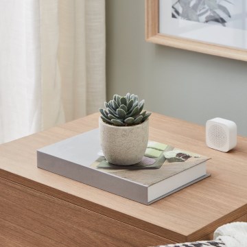 Eglo - Kunstplant in een bloempot 11x8 cm succulent