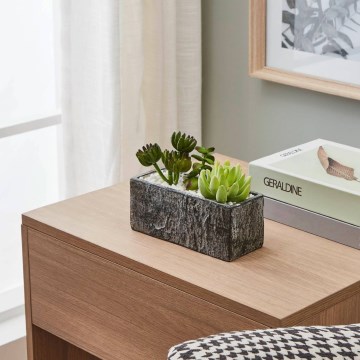 Eglo - Kunstplant in een bloempot 14,5x17,8 cm succulent