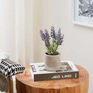 Eglo - Kunstplant in een bloempot 22x8 cm lavendel