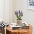 Eglo - Kunstplant in pot 22x8 cm lavendel
