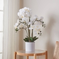Eglo - Kunstplant in pot 65x50 cm orchidee