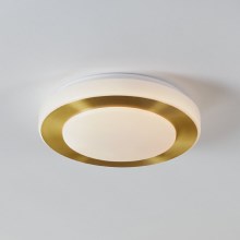 Eglo - LED Badkamer plafondlamp LED/10,8W/230V IP44