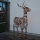 Eglo - LED buitenkerstdecoratie 64xLED/0,066W/3/230V IP44