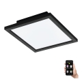 Eglo - LED Dimbaar Plafondlamp LED/15,3W/230V 2700-6500K zwart ZigBee