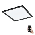 Eglo - LED Dimbaar Plafondlamp LED/21,5W/230V zwart ZigBee