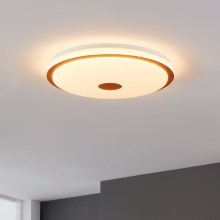 Eglo - LED Dimbare plafondlamp LED/35W/230V + afstandsbediening