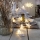 Eglo - LED Kerst Lichtketting 10xLED 2,1m warm wit