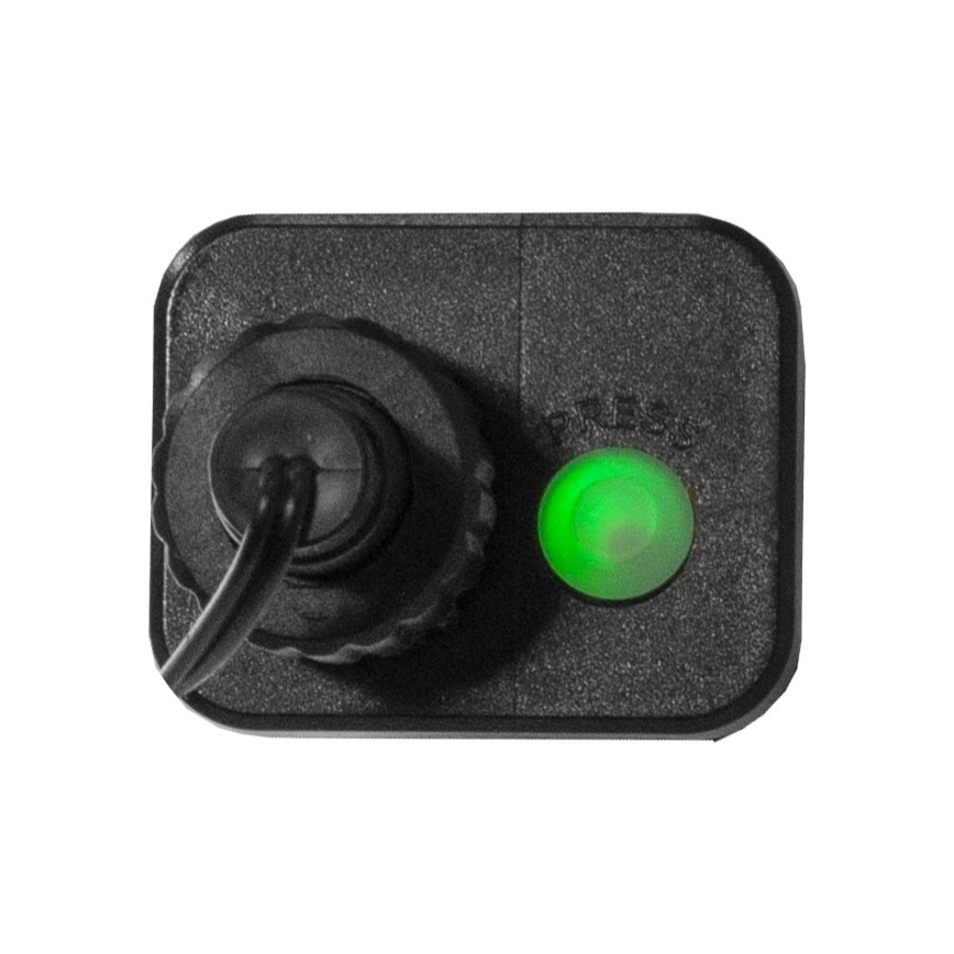 Eglo - LED Kerst Lichtketting voor Buiten 300xLED/8 functies 11m IP44 meerdere kleuren