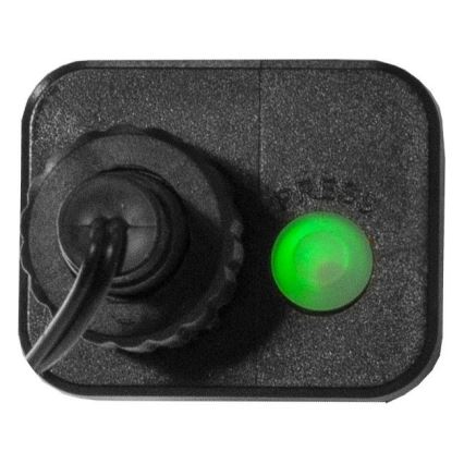 Eglo 472-53 - LED Kerst Lichtketting voor Buiten BERRY MINI 700xLED/8 functies 14m meerdere kleuren IP44