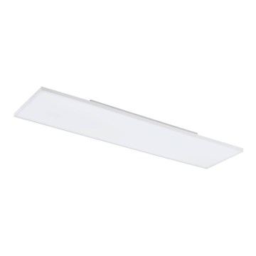 Eglo - LED Plafond Lamp LED/31,5W/230V