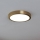 Eglo - LED plafondlamp LED/17W/230V diameter 21 cm