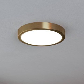 Eglo - LED Plafondlamp LED/17W/230V Ø 21 cm