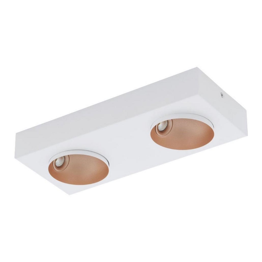 Eglo - LED Plafondverlichting dimbaar 2xLED/3,3W/230V