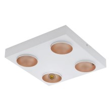 Eglo - LED Plafondverlichting dimbaar 4xLED/3,3W/230V