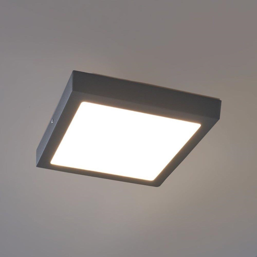 Eglo - LED Plafondverlichting voor buiten LED/22W IP44