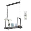 Eglo - LED RGB Hanglamp aan ketting dimbaar 3xLED/6W/230V + afstandsbediening