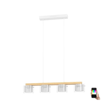 Eglo - LED RGBW Dimbare hanglamp aan een koord 4xLED/3,7W/230V 2700-6500K