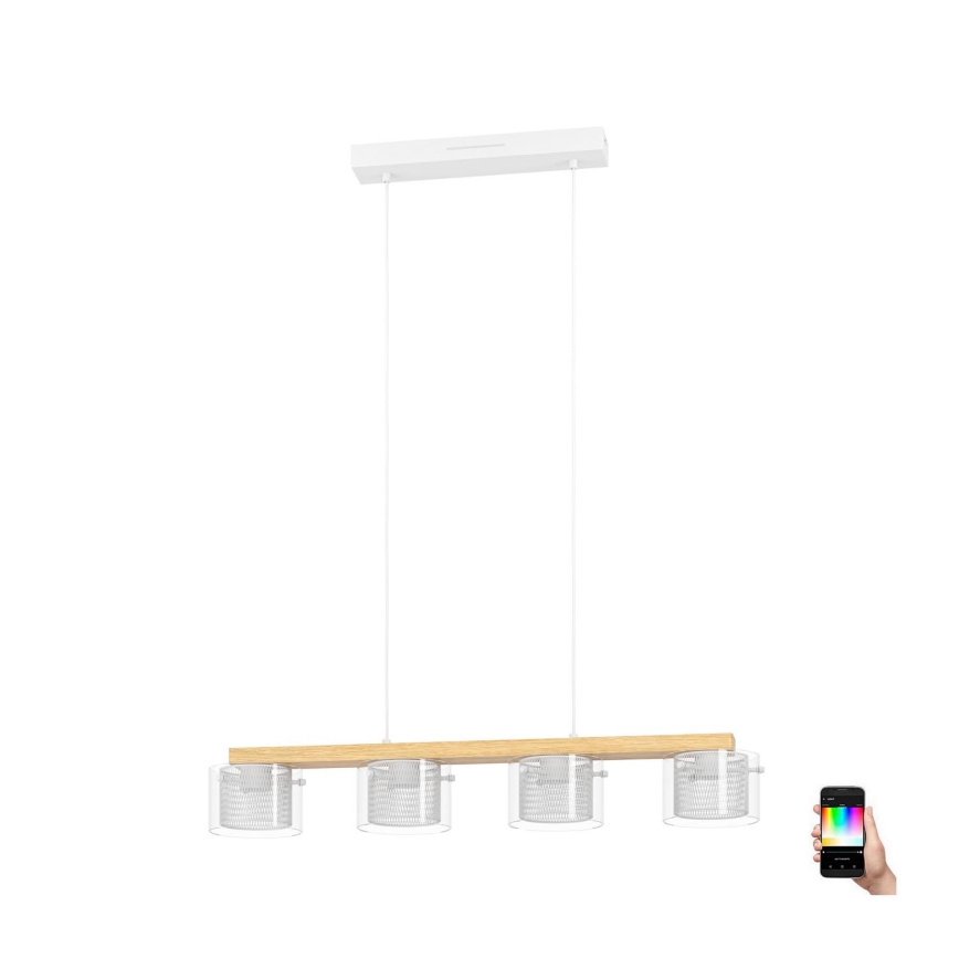 Eglo - LED RGBW Dimbare hanglamp aan een koord 4xLED/3,7W/230V 2700-6500K