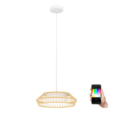 Eglo - LED RGBW Dimbare hanglamp aan een koord LED/22W/230V 2700-6500K