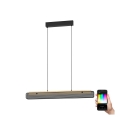 Eglo - LED RGBW Dimbare hanglamp aan een koord LED/34W/230V 2700-6500K