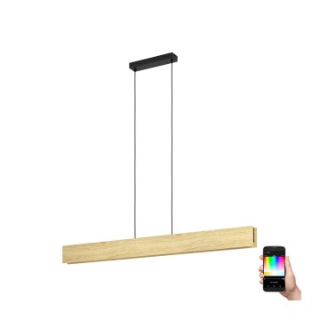 Eglo - LED RGBW Dimbare hanglamp aan een koord LED/35W/230V 2700-6500K
