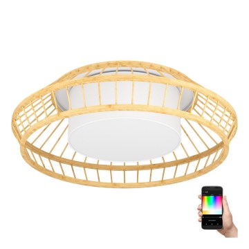 Eglo - LED RGBW Dimbare plafondlamp LED/22W/230V 2700-6500K