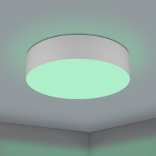 Eglo - LED RGBW Dimbare plafondlamp LED/35W/230V 2700-6500K grijs
