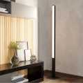 Eglo - LED RGBW Dimbare vloerlamp LED/35W/230V 2700-6500K ZigBee