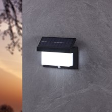 Eglo - LED Solar wandlamp met sensor LED/3,84W/3,7V IP44