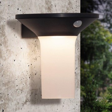 Eglo - LED solarlamp voor buiten met sensor 6xLED/0,03W/3,7V IP44