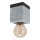Eglo - Plafond Lamp 1xE27/40W/230V